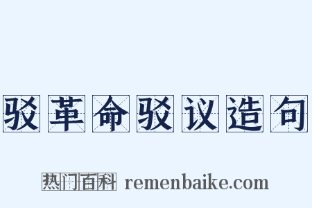 驳革命驳议造句是什么意思的图片